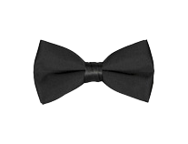 Bow-Tie oder Fliege 